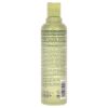 Pure Abundance Volumizing Shampoo by Aveda for Unisex - 8.5 oz Shampoo